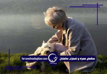 اضطراب سالمندان