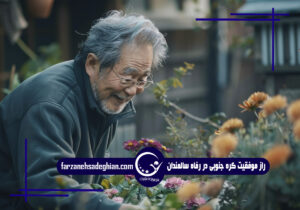 رفاه سالمندان