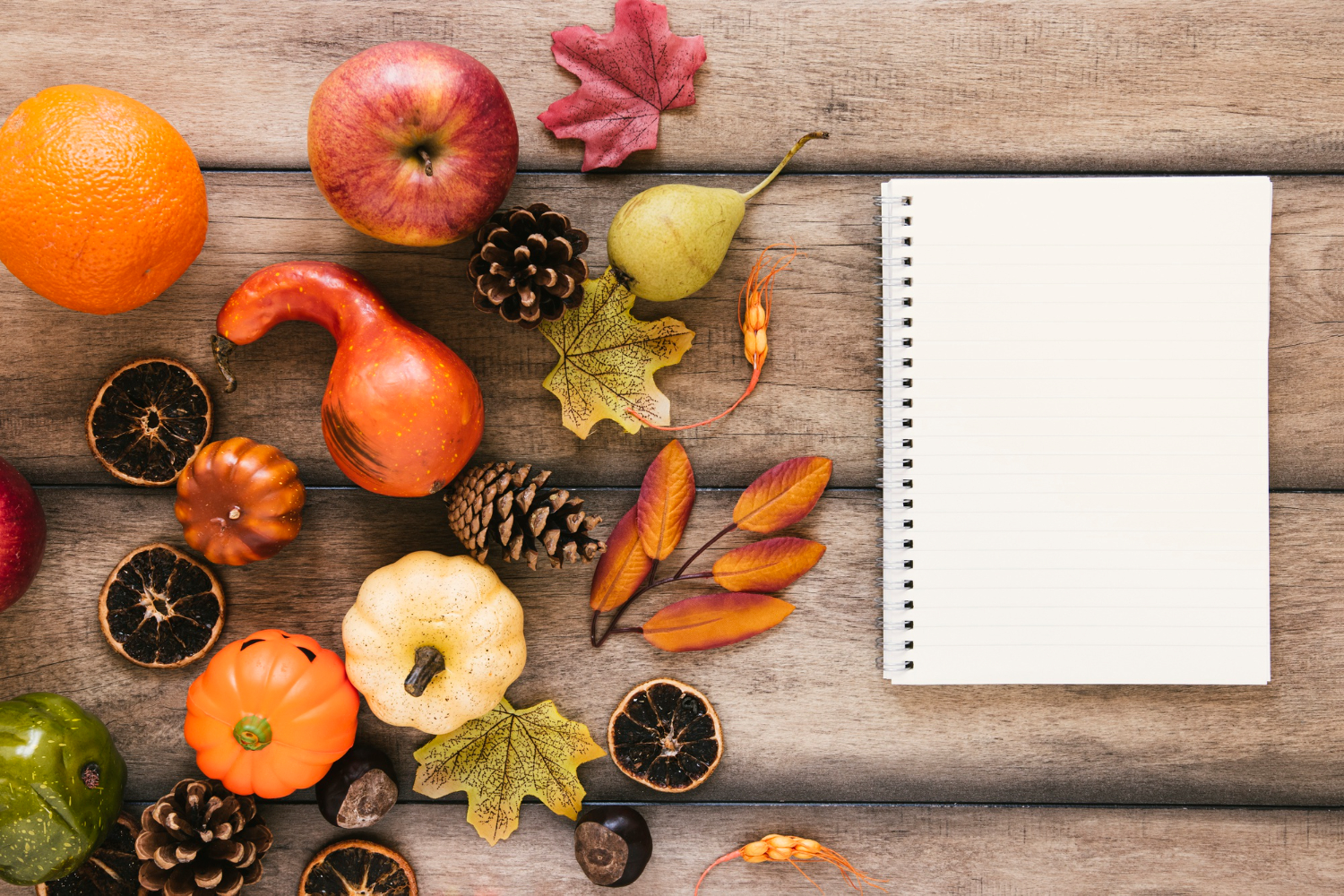 تغذیه سالمندان در فصول مختلف